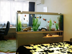 Где купить аквариум в Барнауле